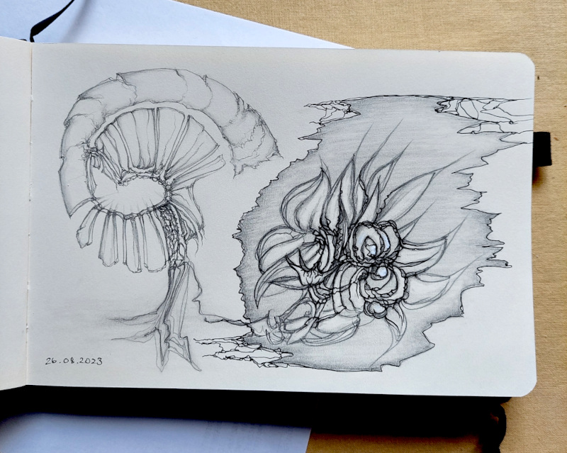 Title: Life on Earth, Sketchbook, Graphite 2023
